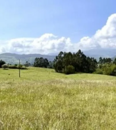 El Acebu Colombres